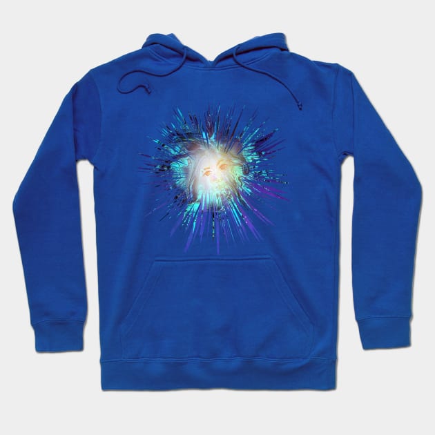 Burst of Beauty Hoodie by Klssaginaw